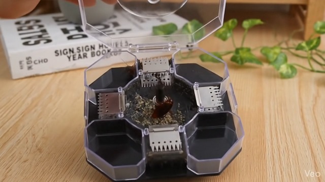 Cockroach Killer Trap Box Effective Roach | Cockroach Trap Box 14